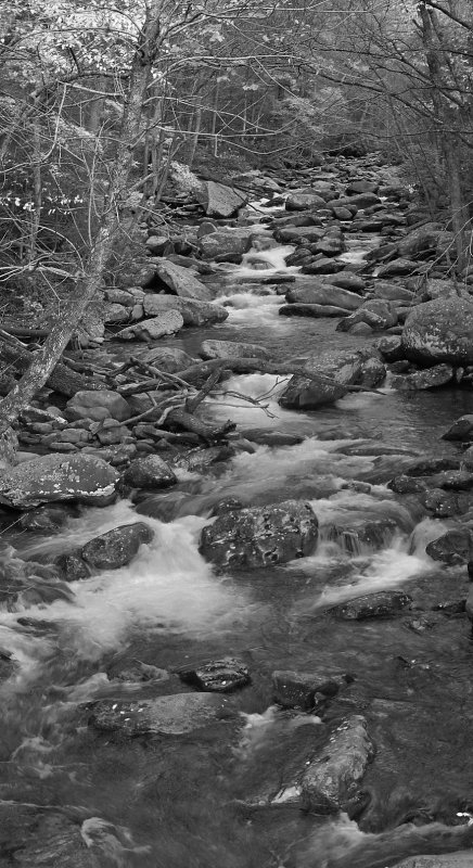 GREAT SMOKY MOUNTAINS NATIONAL PARK