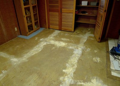 ONLY THE SUB-FLOORING REMAINED THROUGHOUT MOST OF THE HOUSE