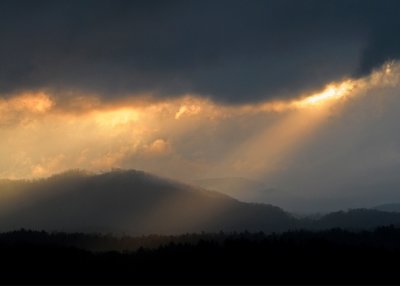 GOD'S FLASHLIGHT - ISO 400