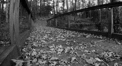 BRIDGE ON THE FLAT ROCK THEATER PROPERTY