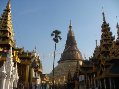 the pagoda complex 1