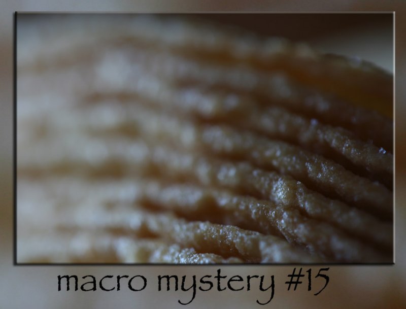 macro mystery # 15