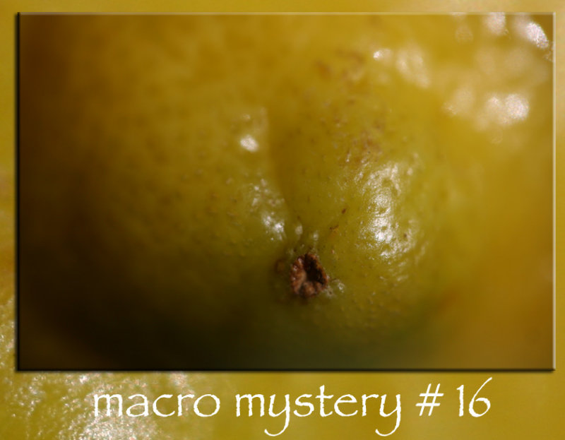 macro mystery # 16