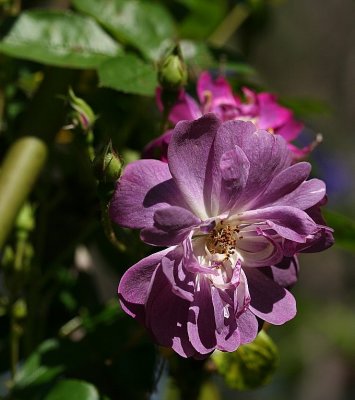 g5/42/347642/3/67960414.oAkfJykm.jpg