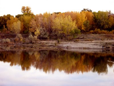 West Lake Reflection