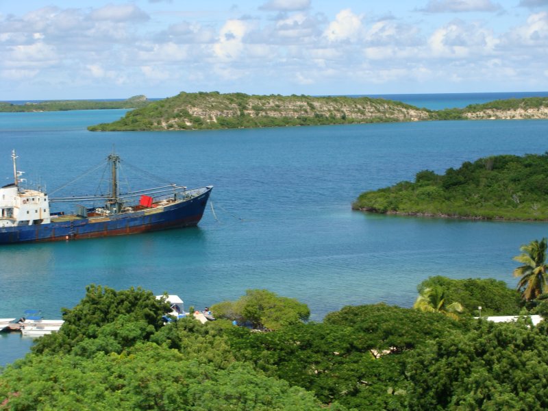 Mercers bay