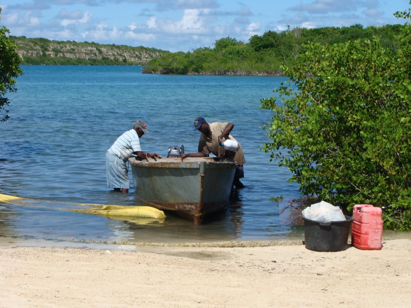 Mercers bay