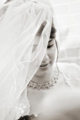 g5/42/490242/3/103567398.DP2JH9V0.jpg