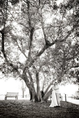 Marie Selby Gardens wedding