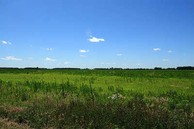 IMG_2425.JPG