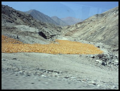 Sun drying corn - north of Lima