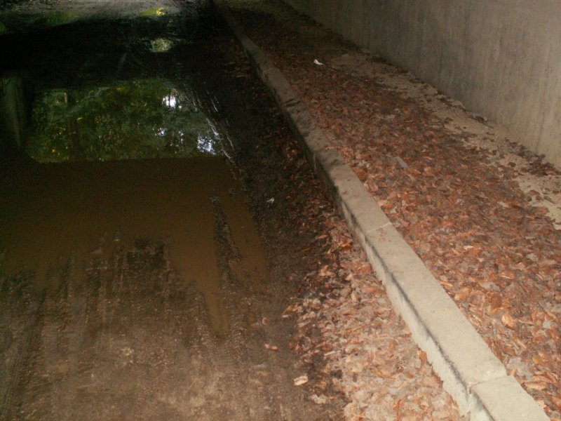 Ring : passage souterrain Wildetijmweg et Raafeikweg.