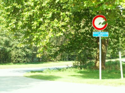 Chemin de la Chapelle Musicale - Qui peut dire qu'il y a l-bas une piste cyclable puisque circulation interdite !