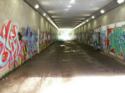 Tunnel sous la E411, Drève du Prince / Prinsendreef / Prinsweg.