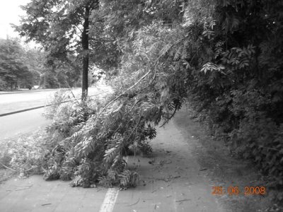 25/6/2008 : Woluwe-St-Lambert, Boulevard de la Woluwe.