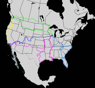 map with trails.PNG