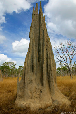 Magnetic Termite mound