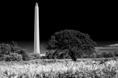 IMG_0164fixinfrared1000.jpg