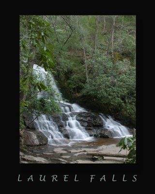 Laurel Falls1000.jpg