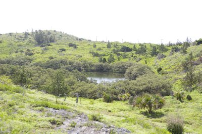 View from the old railway