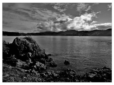 Otago Harbour From Wellers Rock