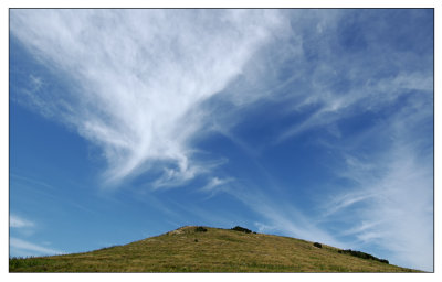 g5/42/765342/3/98534042.CGXsk4s9.jpg