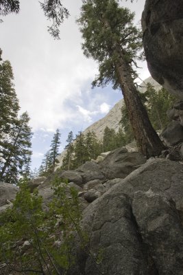 g5/42/826242/3/99418606.AzbDQhbR.jpg