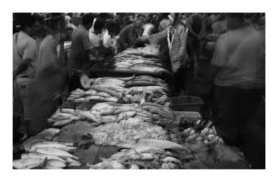 Fish market, Kota Kinabalu, Malaysia