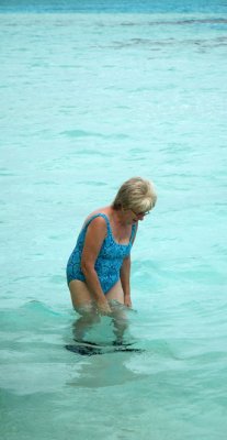 DSC_8582.jpg