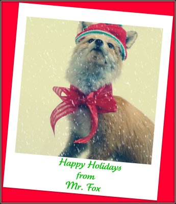 Happy Holidays From Mr Fox