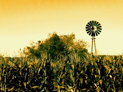 Sky Corn Windmill