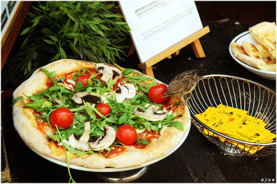Italian Birds Love Pizza Too