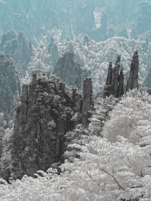 Imperial Pen Peak, Tianzi Mountain