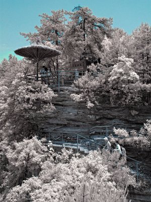World's No. 1 Bridge