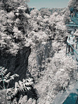 World's No. 1 Bridge