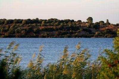 Laguna de Medina - Jerez - Medina Lake