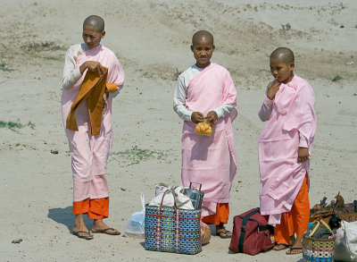 Nuns on a Beach