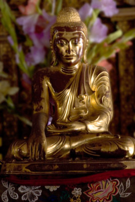 Gilded Buddha