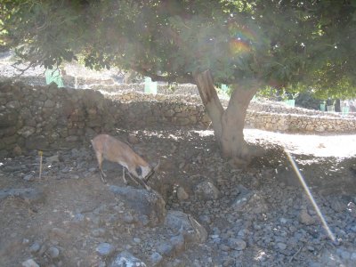 IMG_2279.JPG