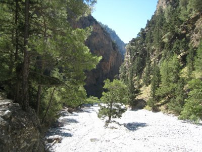 IMG_2283.JPG