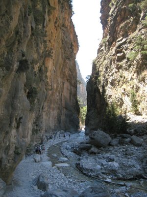 IMG_2308.JPG