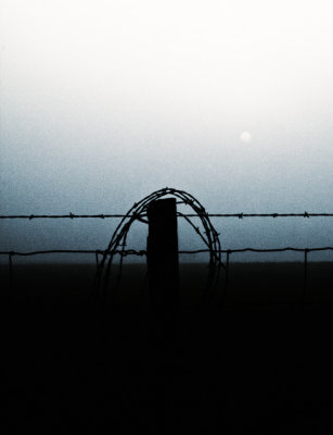 foggy-wire