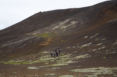 _MG_3447.jpg