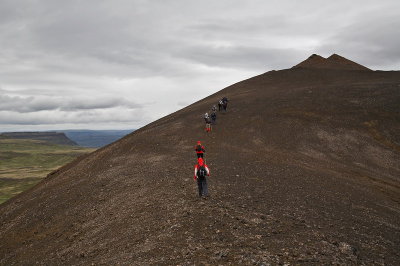 _MG_3455.jpg