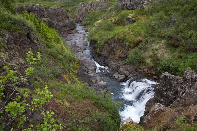 _MG_3537.jpg