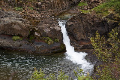 _MG_3545.jpg