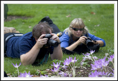 Hunting flowers!