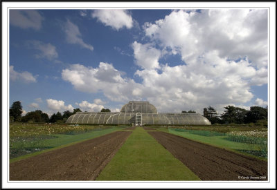 The Palm House!