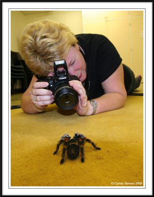 Spider woman!