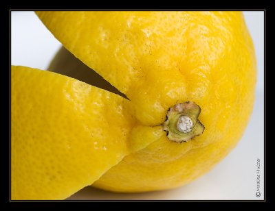 19 - Lemon Yellow